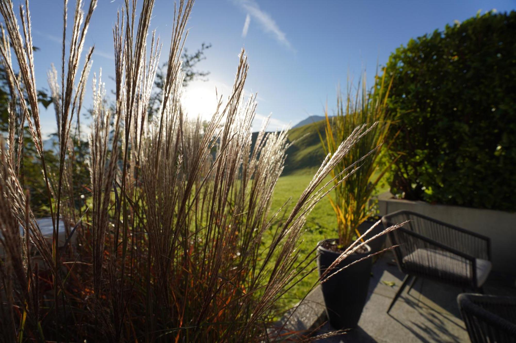 Mid Mountain Apartment Tirol Wiesing Exterior foto